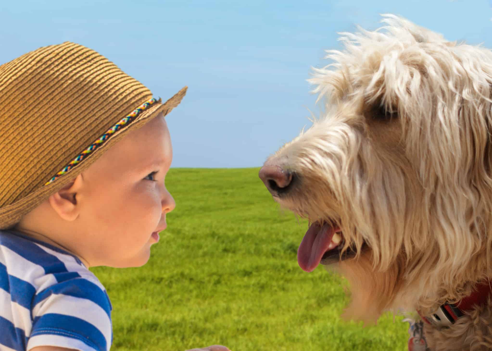 Are Goldendoodles Good With Children?