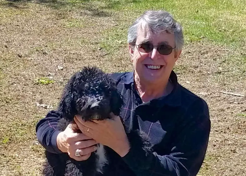 Black Goldendoodles: What You Need To Know About This Rare Breed